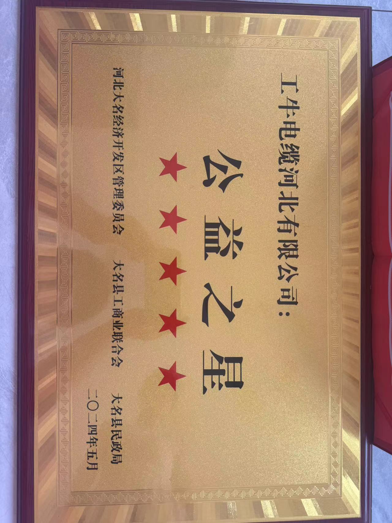 公益之星